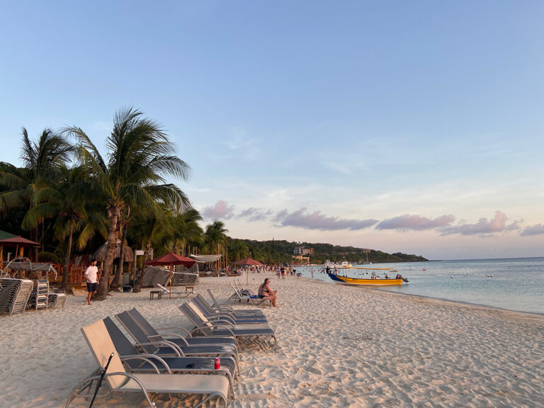 Turismo y biodiversidad: de la dependencia al compromiso